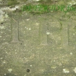 Lesy v okol� Lesnice - detail.