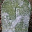 Lesy v okol� Lesnice - detail.