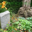 Arboretum - B�l� Lhota